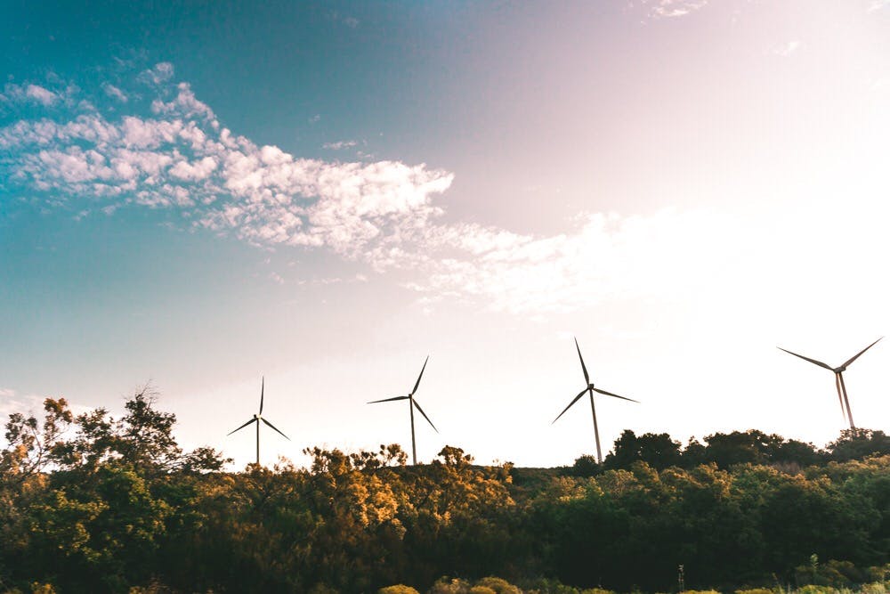 AI for Carbon Reporting